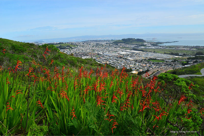 San Bruno